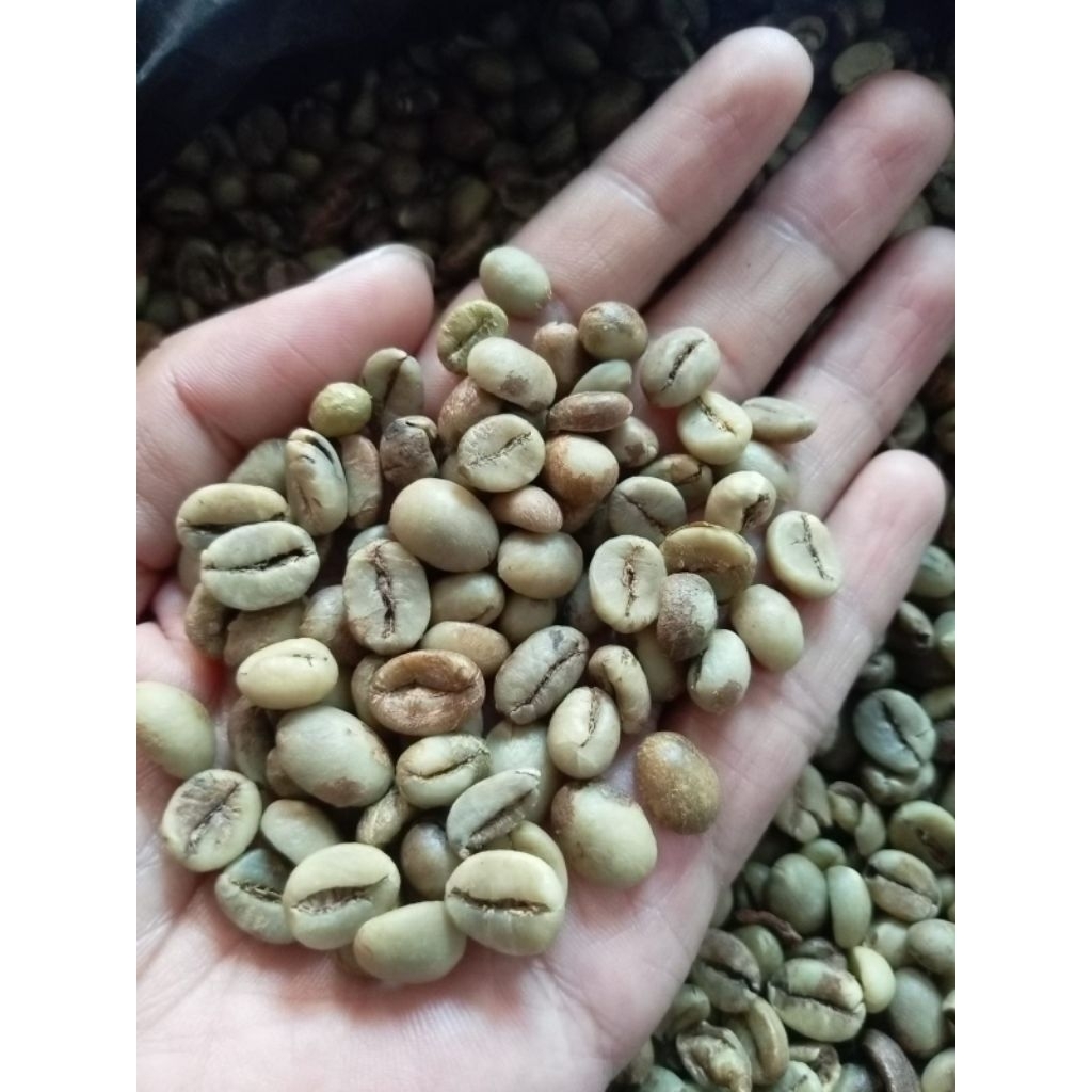

Kopi Robusta Asli