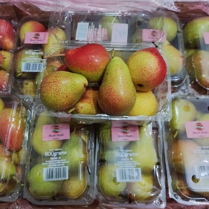 

[KIRIM INSTAN/SAMEDAY] Pir FORELLE PREMIUM PACK/Honey Belle FULL MANIS garing padet enak