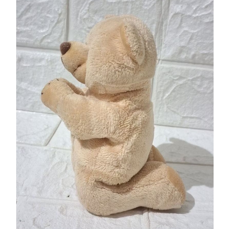 boneka tedi teddy bear beruang berdoa pray teddy