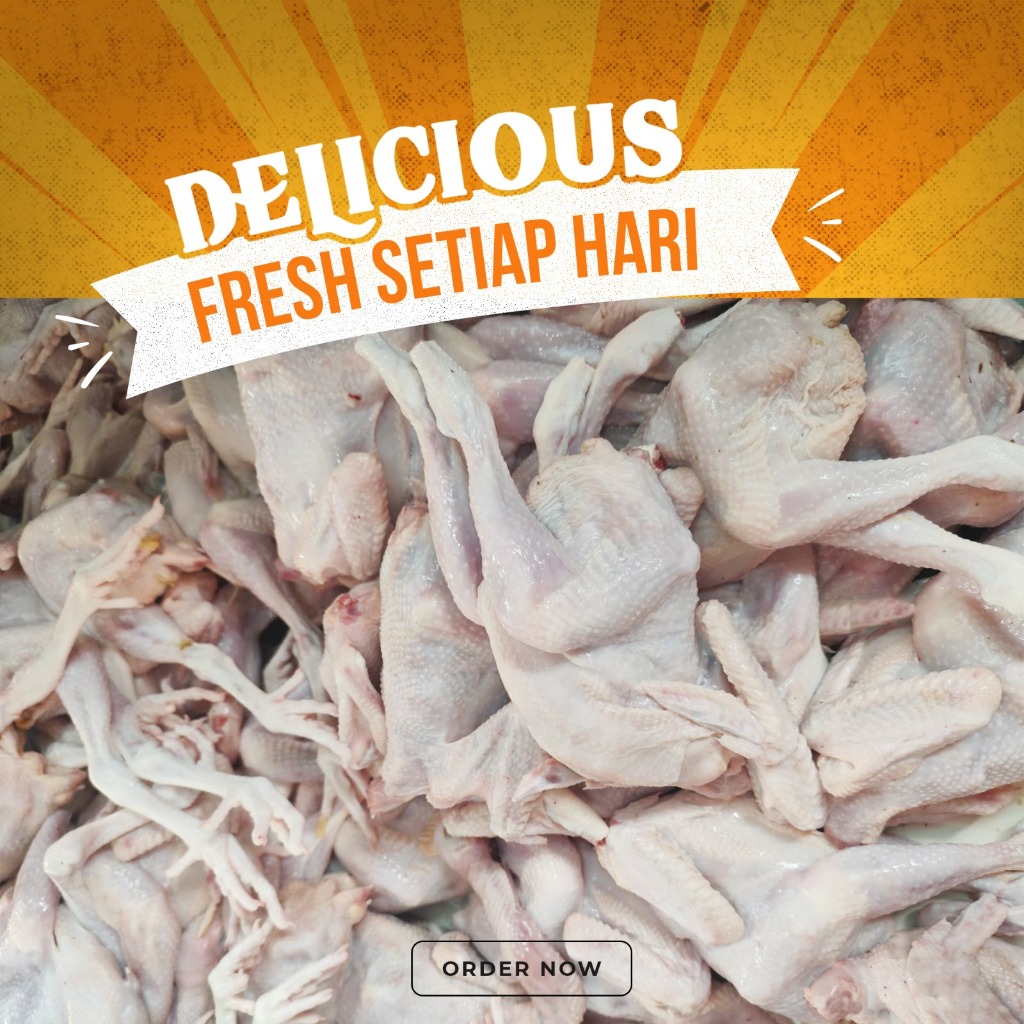 

AYAM MENTAH AYAM PEJANTAN (ekor)