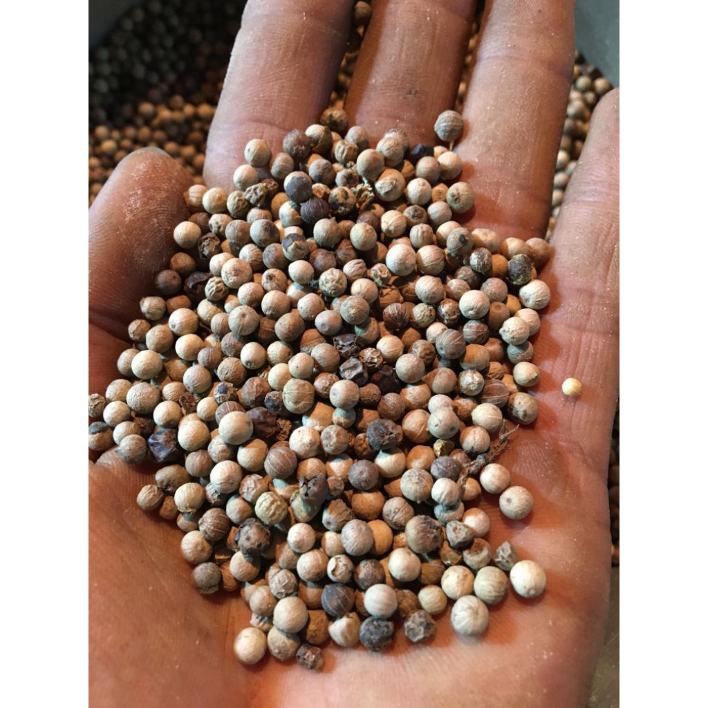 

LADA PUTIH BAHAN ORIGINAL, LADA SAHANG,MERICA BAHAN PUTIH