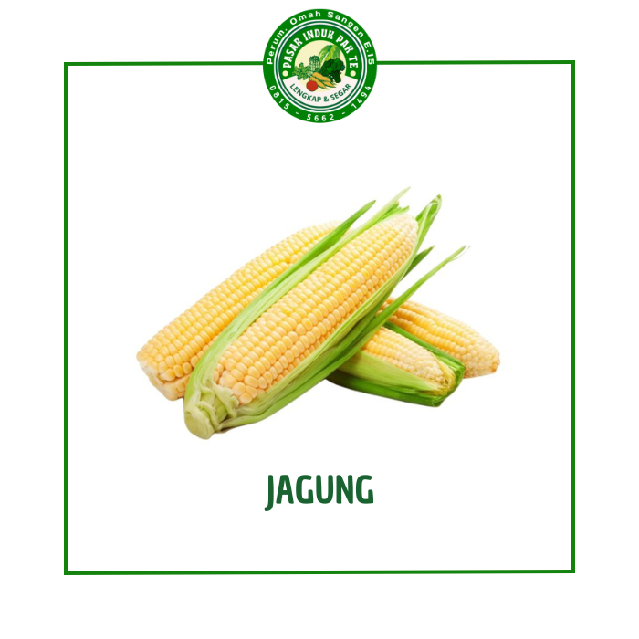 

Jagung Manis Super Termurah 1kg
