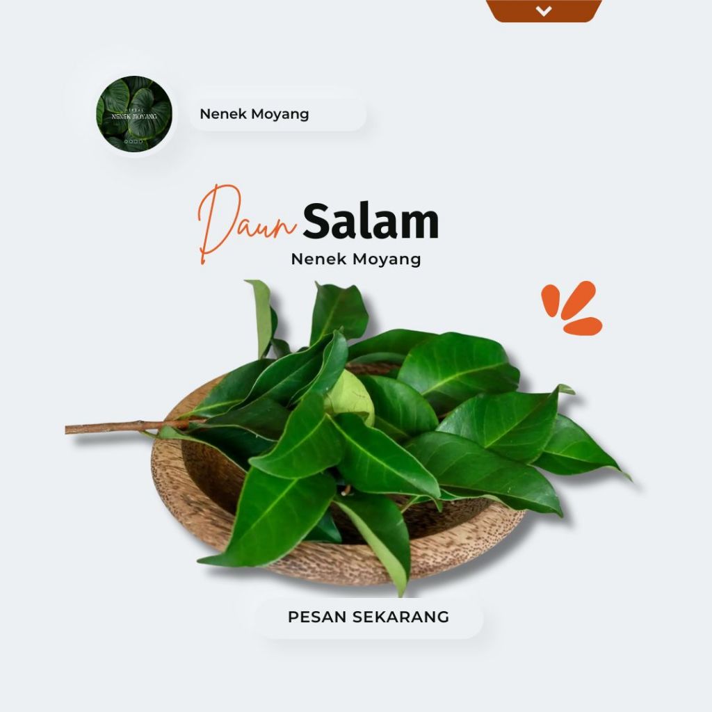 

DAUN KERING Herbal Nenek Moyang Daun Salam Kering / Layu 500 Gram