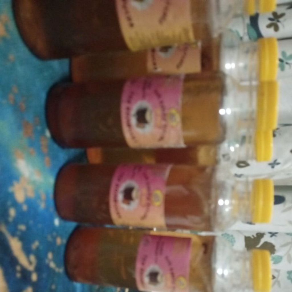 

teh kombucha free mini scooby