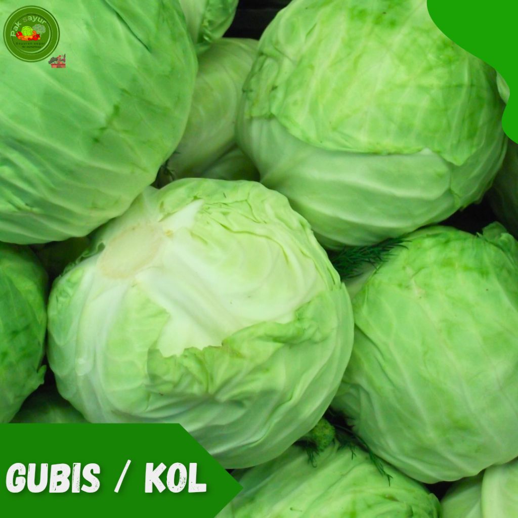

Sayur Gubis ,Gubis / Sayur Kol , Gubis -500 gram , Sayur kol Segar , cabbage