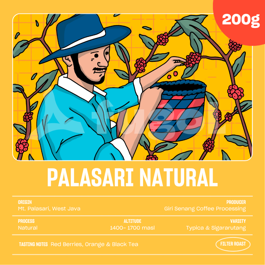 

Kopi Arabika Jawa Barat PALASARI NATURAL (200 gr) Single Origin Specialty Coffee Arabica Beans