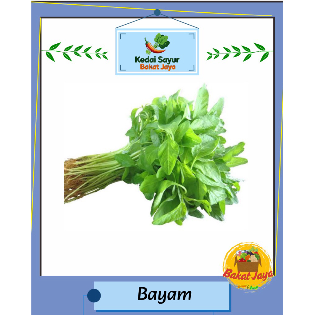 

Bayam 1 ikat
