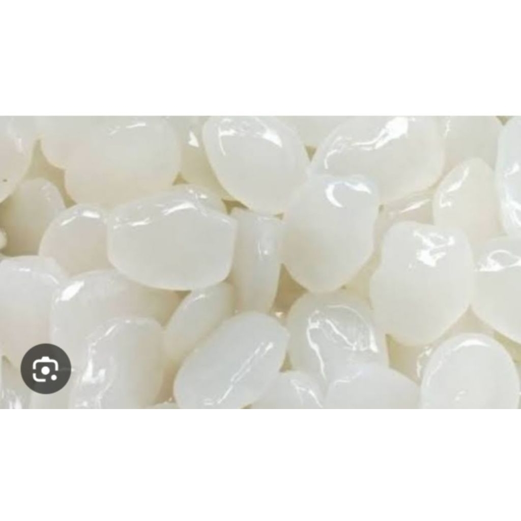 

kolang kaling buah aren 1 kg