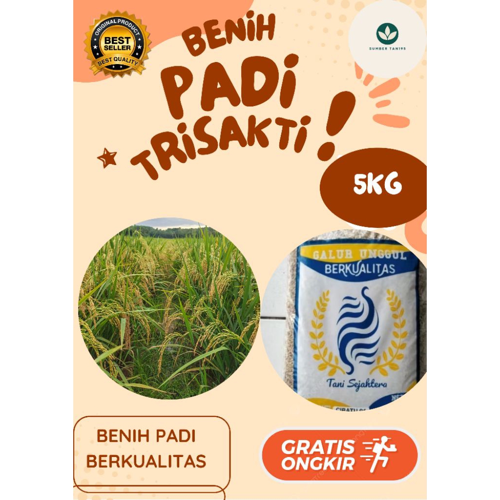 

Benih Padi TRISAKTI 5kg