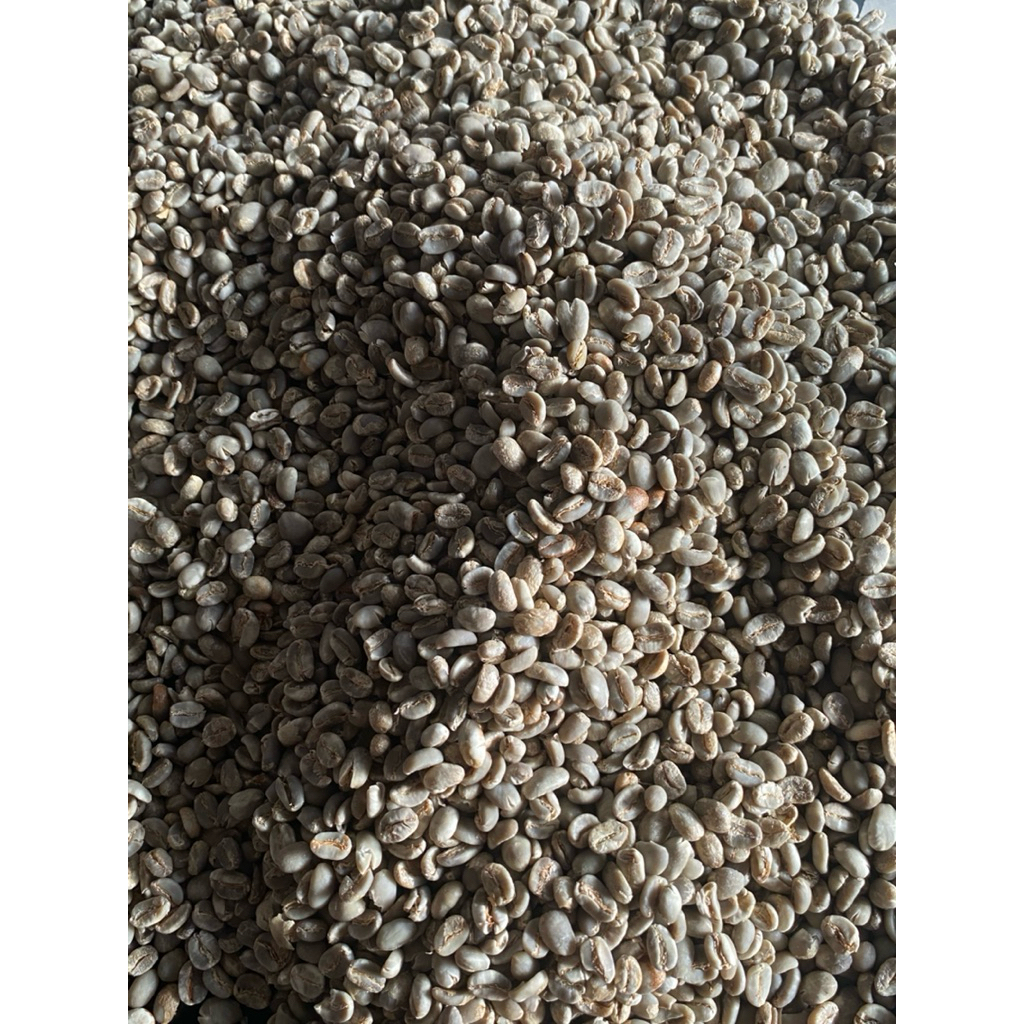 

Kopi Arabika Mamasa