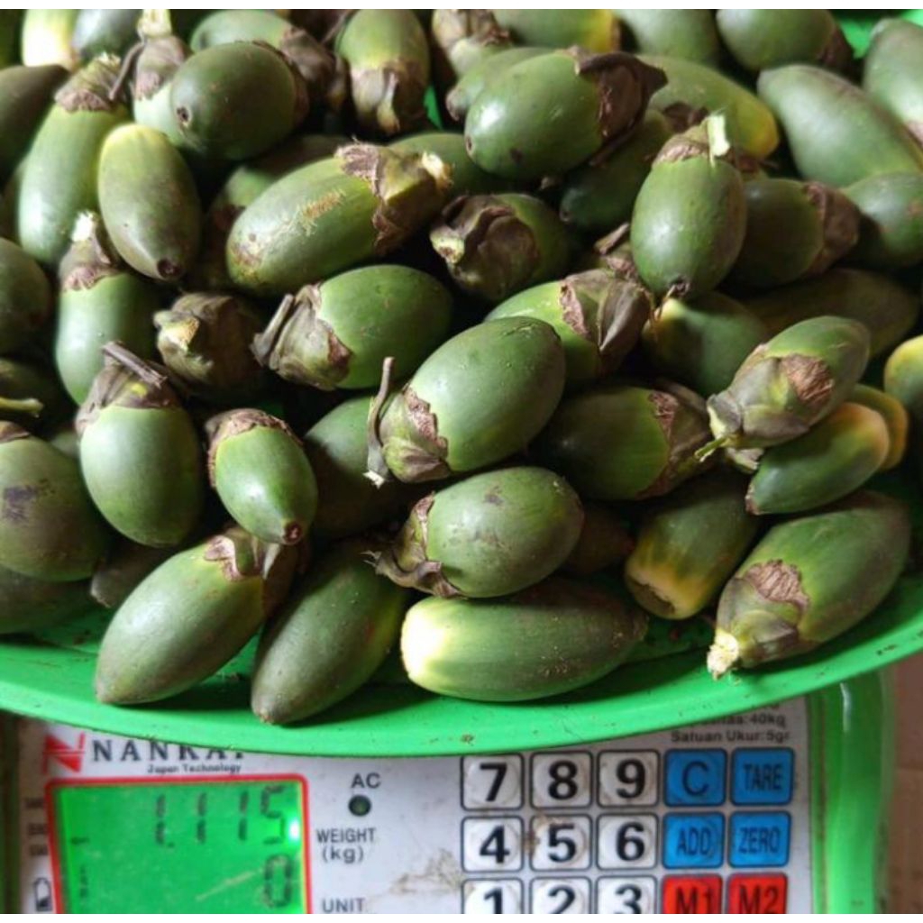 

Buah pinang muda/buah jambe 1kg segar buah pinang/buah jambe