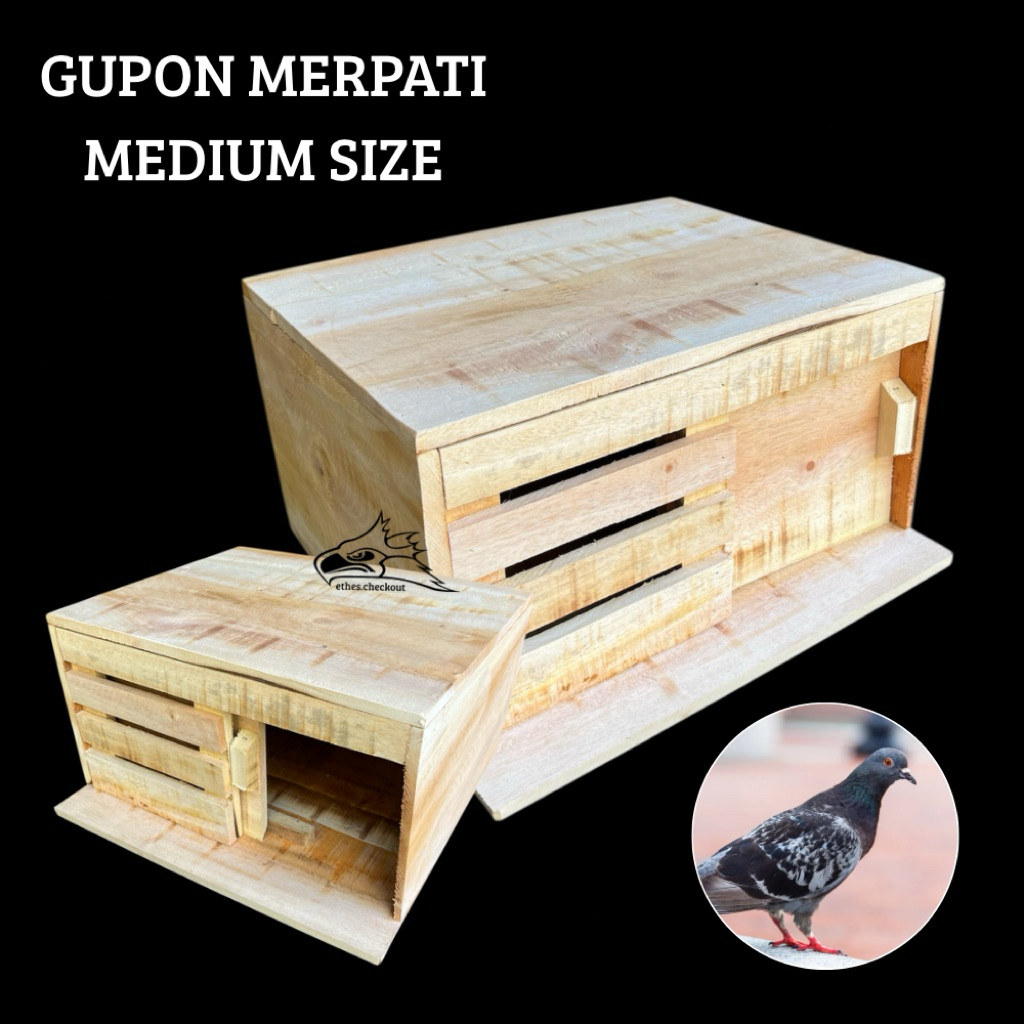 GUPON MERPATI MEDIUM SIZE PAGUPON BURUNG DARA