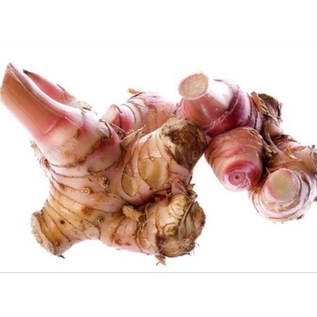 

Bumbu dapur obat herbal lengkuas 150gr