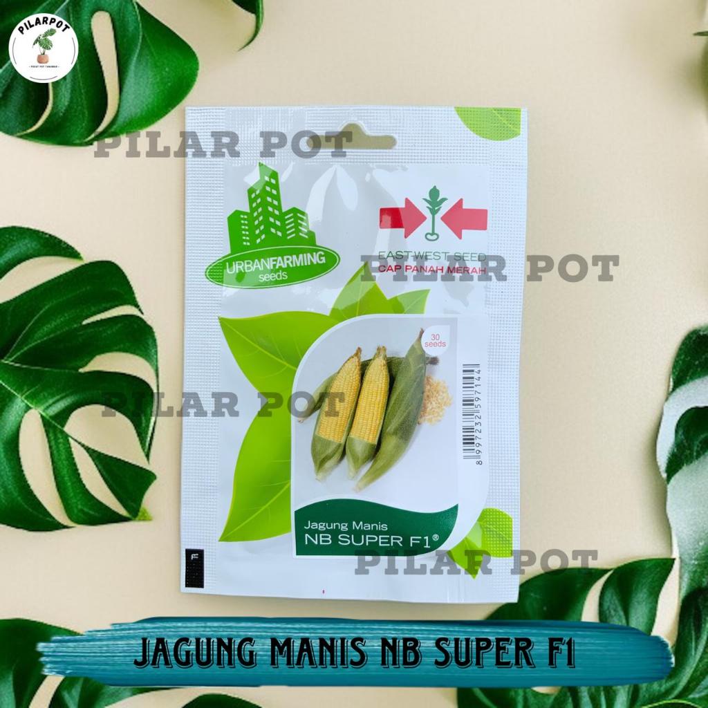 Benih Bibit Jagung Manis NB Super F1 Cap Panah Merah - JAGUNG MANIS NB SUPER F1 EAST WEST SEED