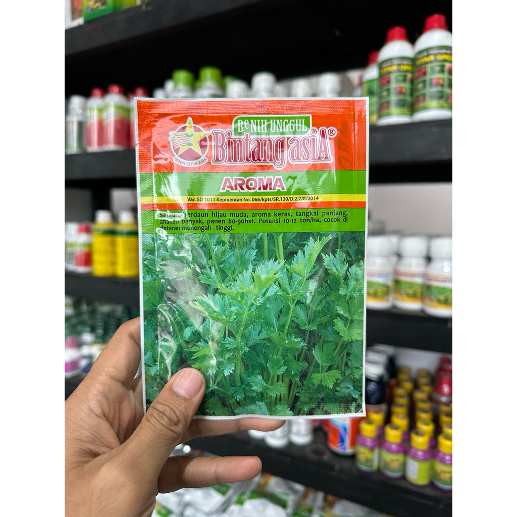 Benih Seledri Aroma 20 gr