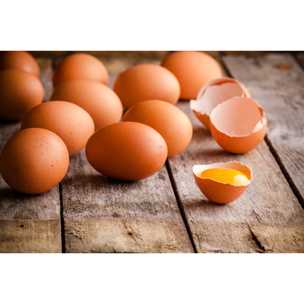 

TELUR AYAM EROPA TERBAIK