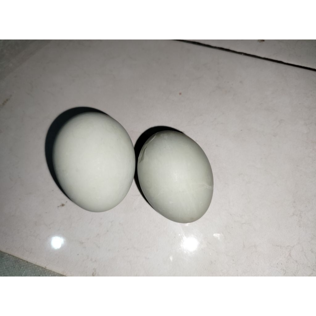 

TELUR ASIN