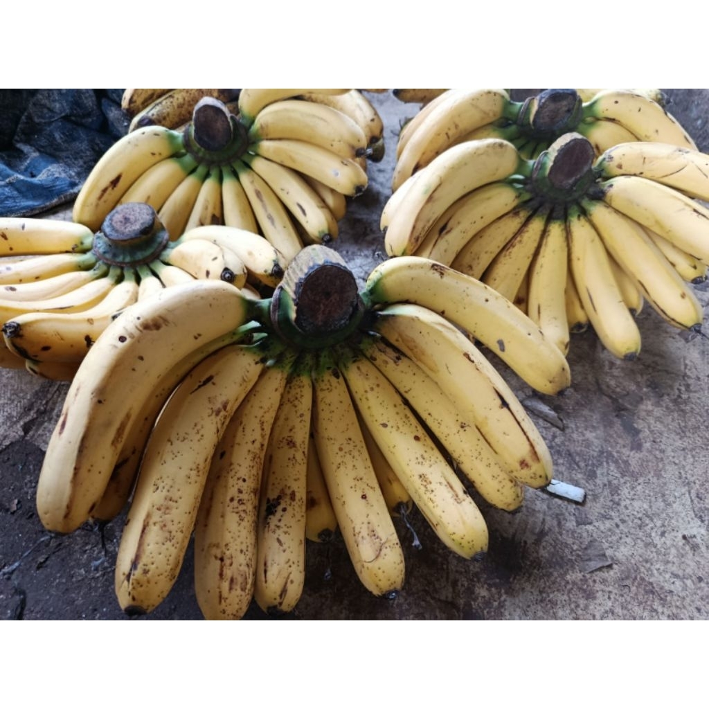 

Pisang barangan