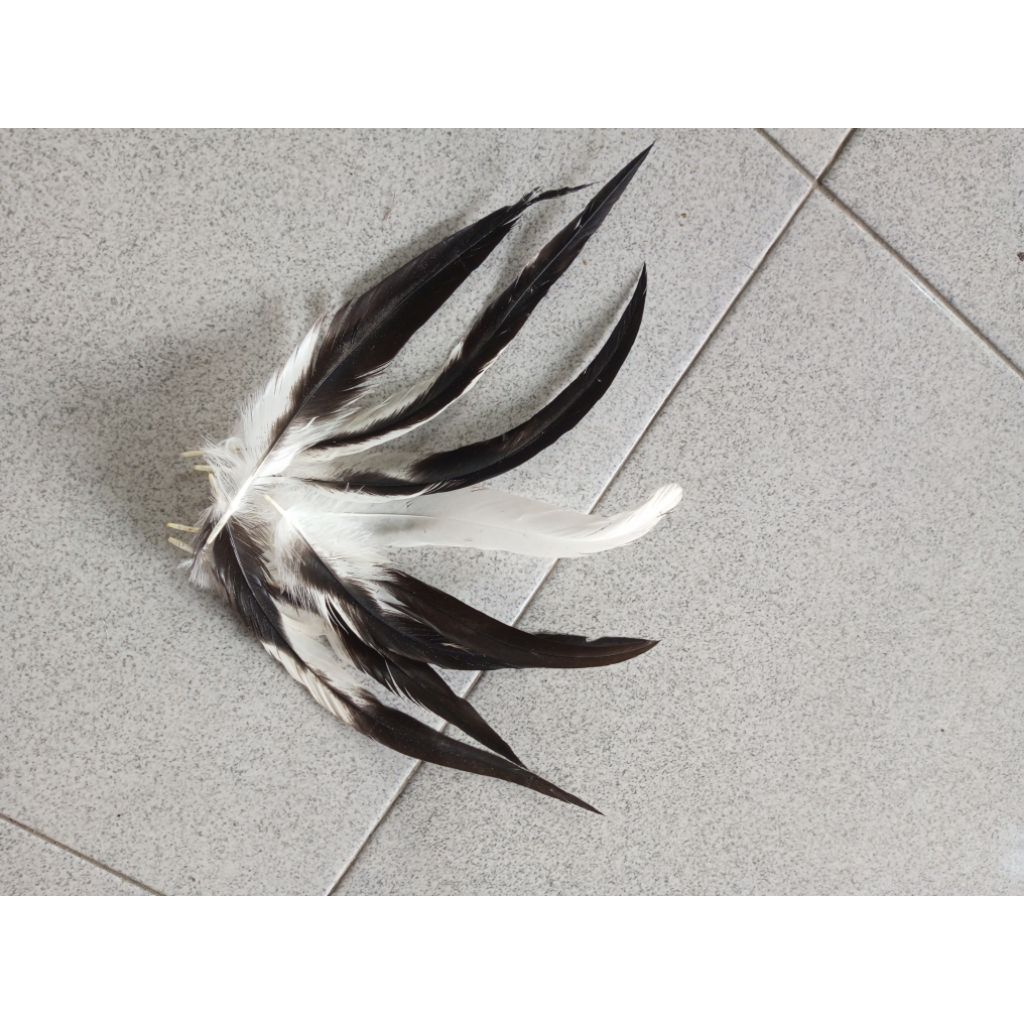 bulu ayam lancur hiasan kepala