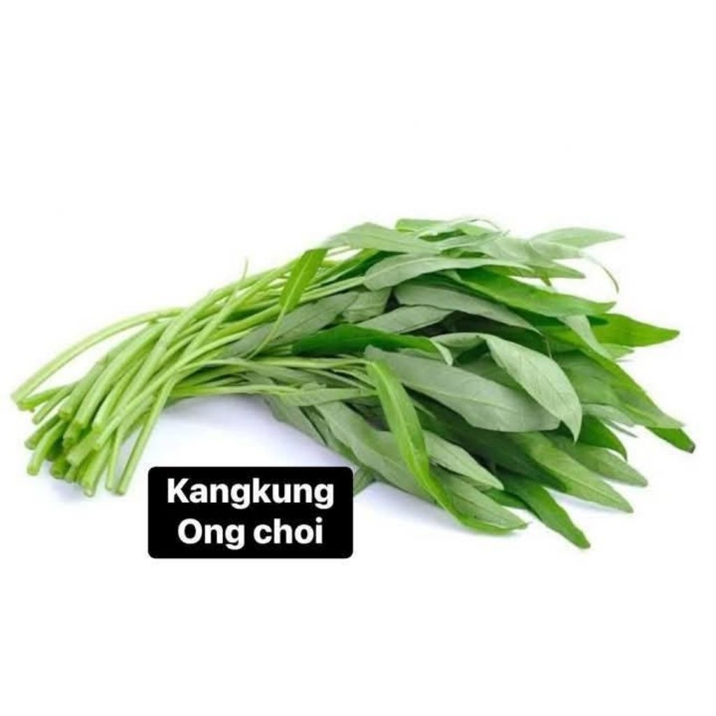 

kangkung hijau