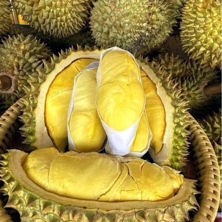

DURIAN MONTONG PALU BERAT 2KG UTUH