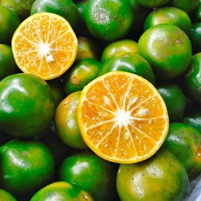 

JERUK PERAS PONTIANAK 1kg