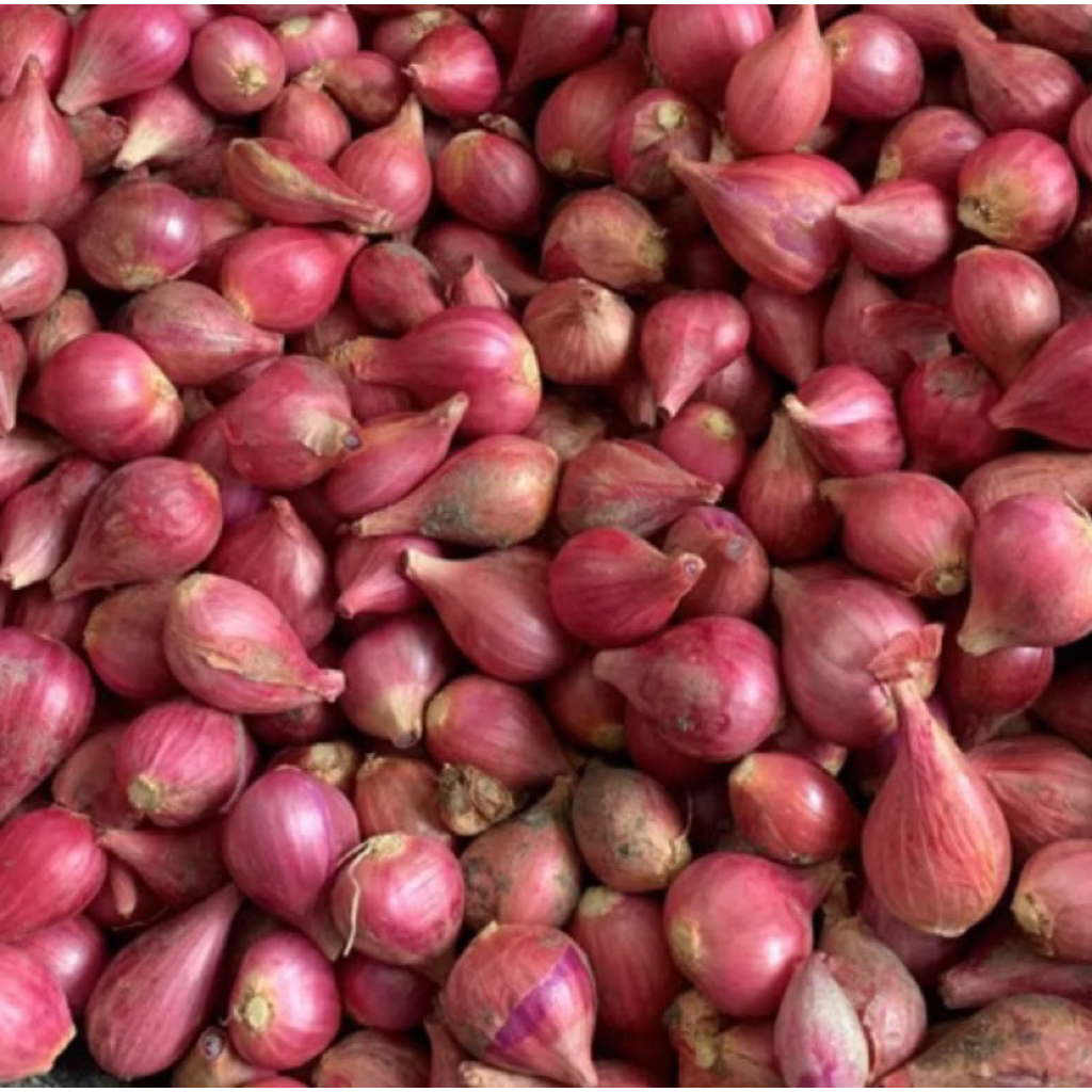 

Bawang Merah Kering Sedang Lokal