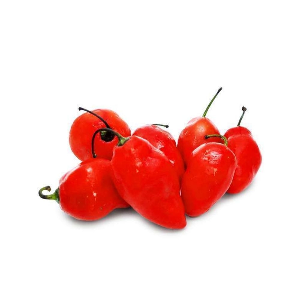 

cabe gendot merah 100gram