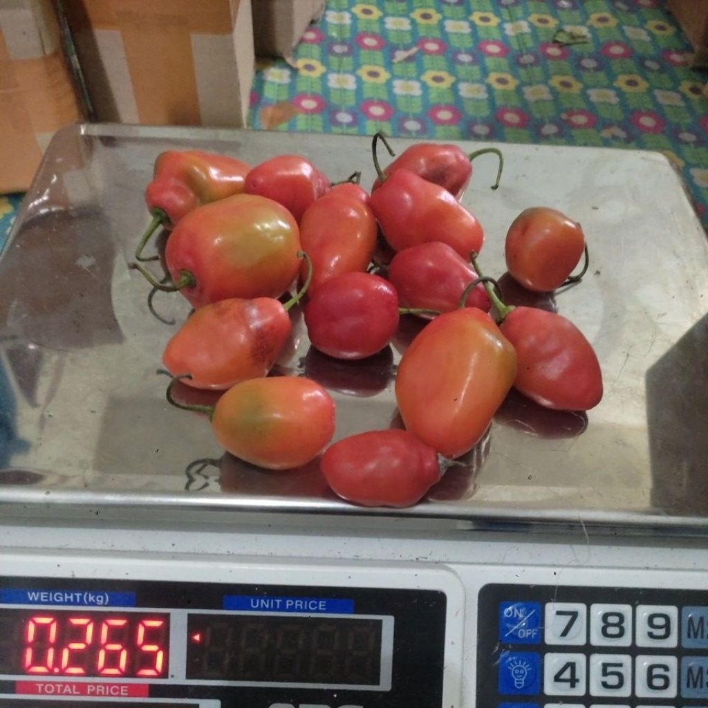 

cabai gendot merah 250 gram