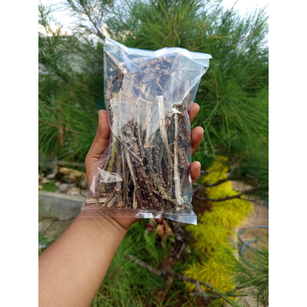 

butrowali kering berat 1kg/ herbal alami / rasa pahit