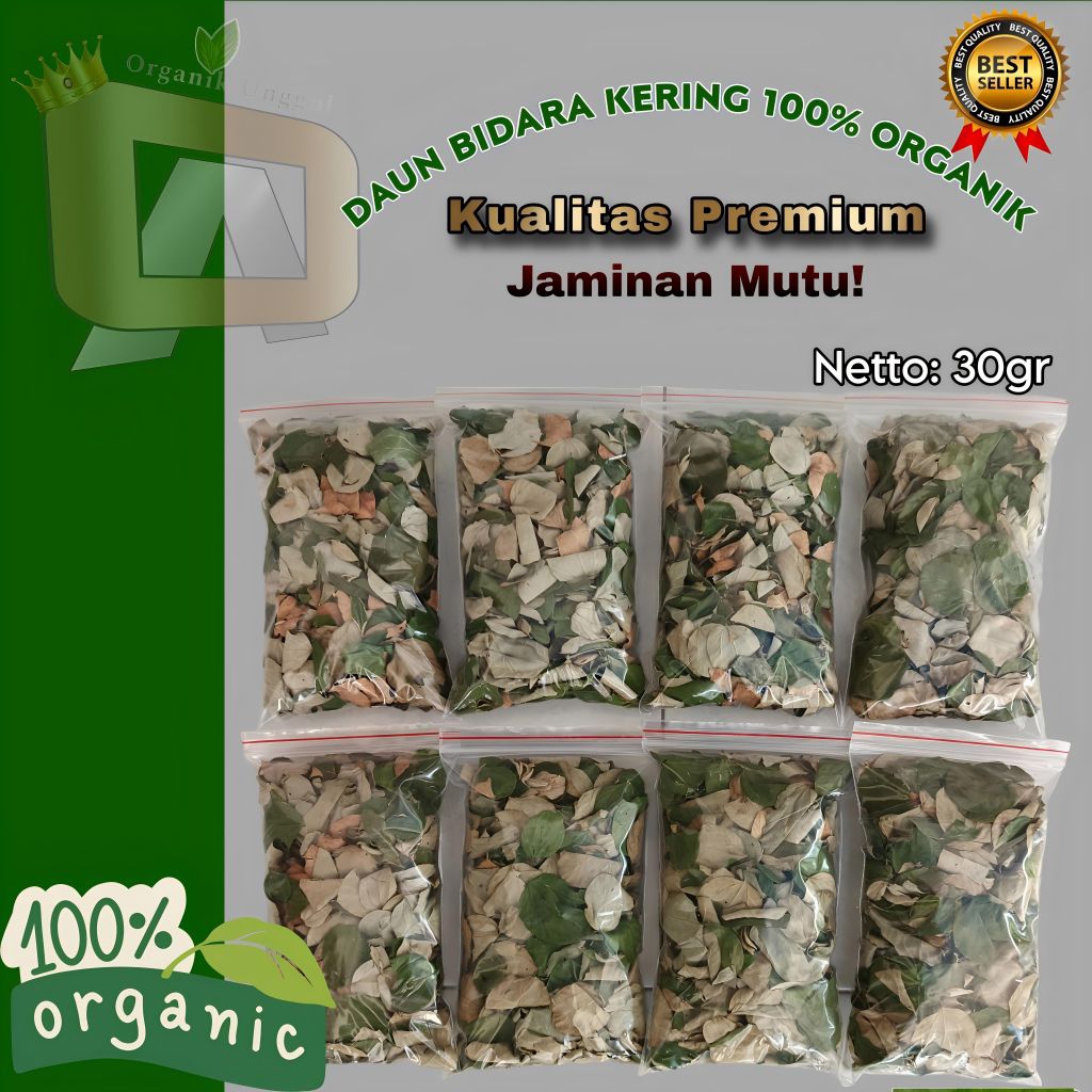 

Daun Bidara Kering Berkualitas 30gr || Daun Bidara Asli || Daun Bidara Asli Organik