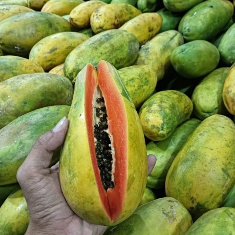 

Pepaya Banyuwangi Manis Pulen