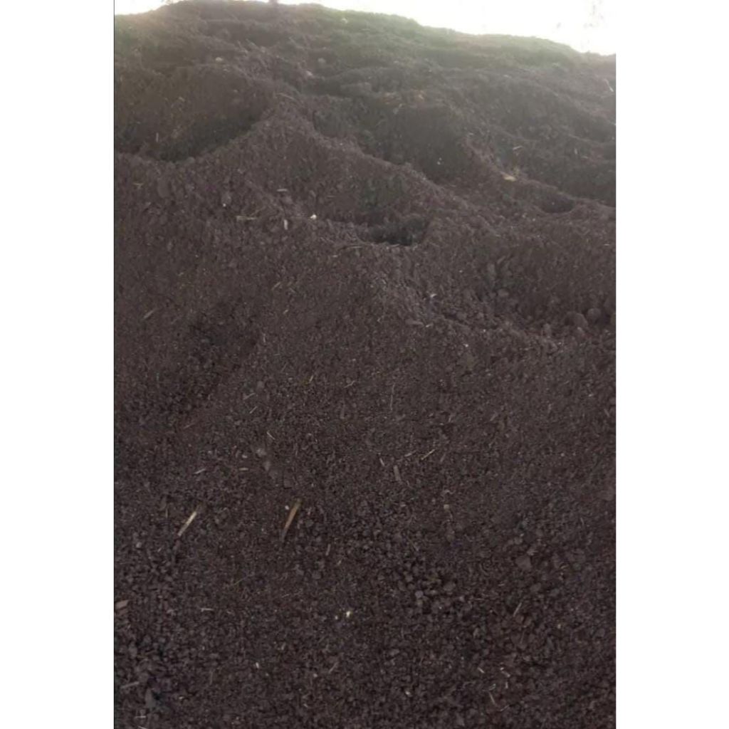 KOHE KAMBING HALUS MURAH