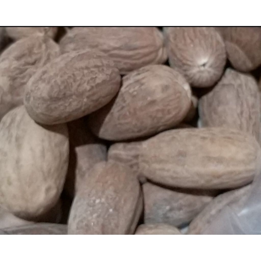 

Biji Pala 100 Gram Pilihan Hemat