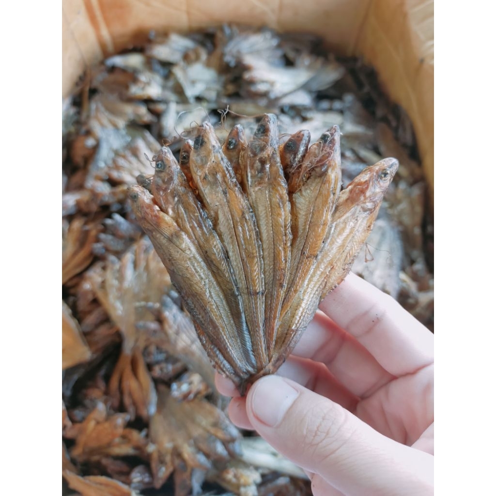 

Ikan lais salai / selais asap 1kg