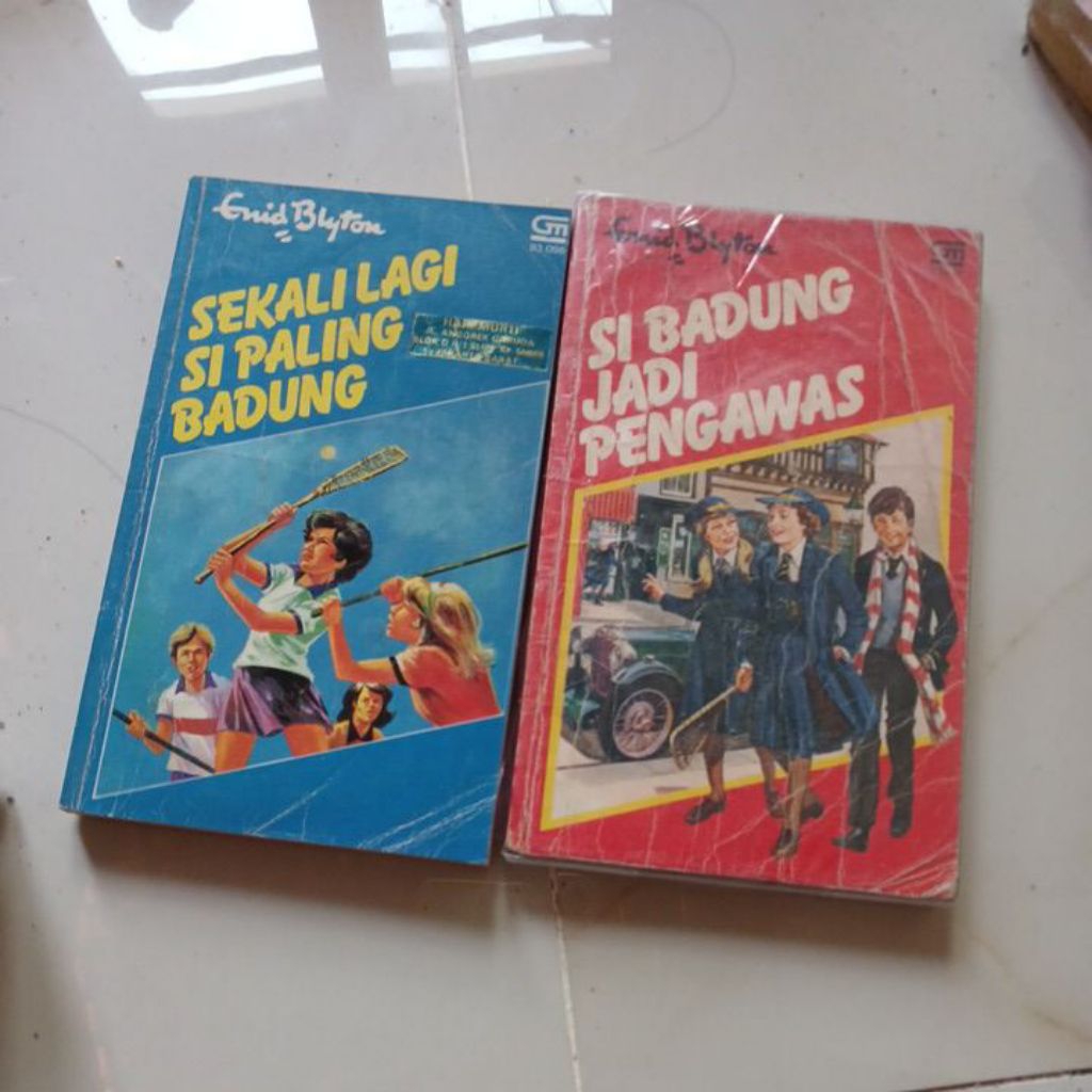 NOVEL SI BADUNG. ENID BLYTON