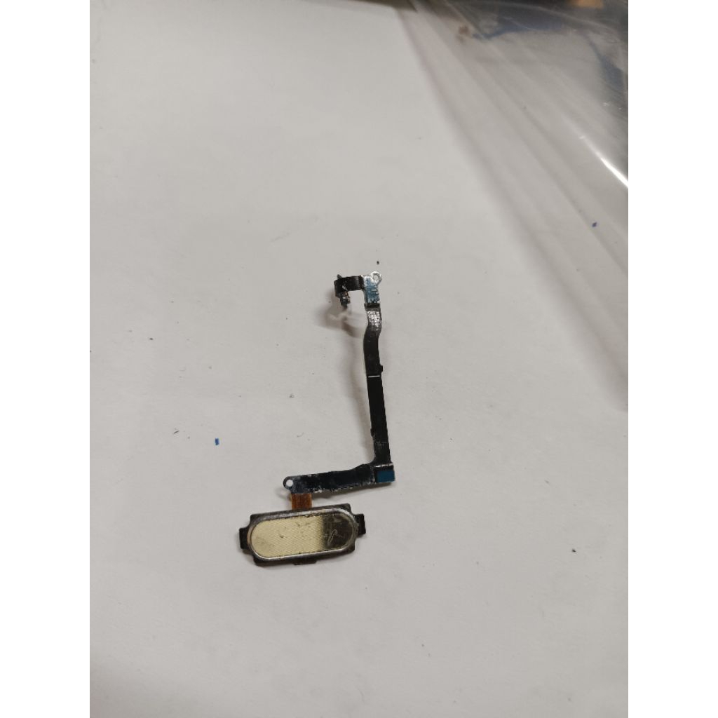 finger print samsung not 5