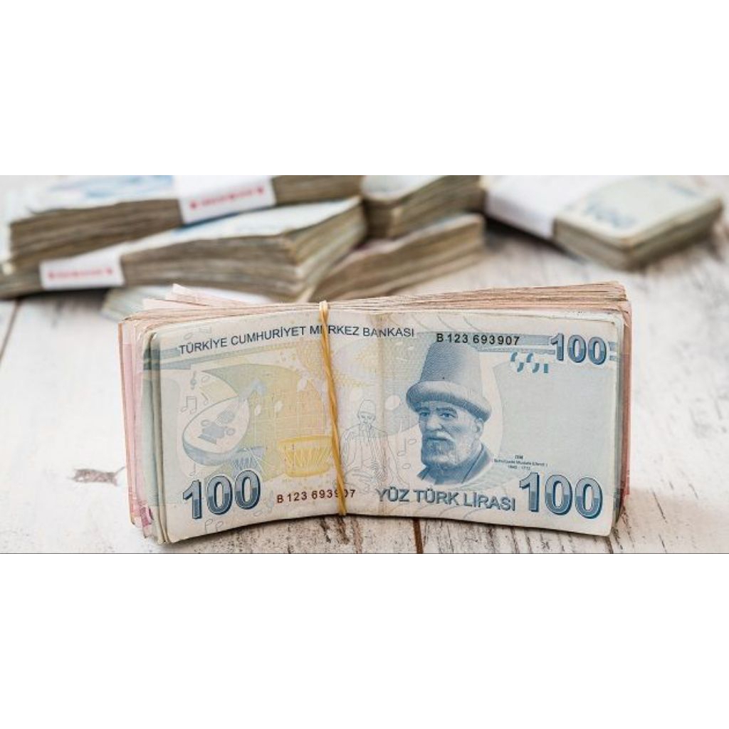 100 lira turki