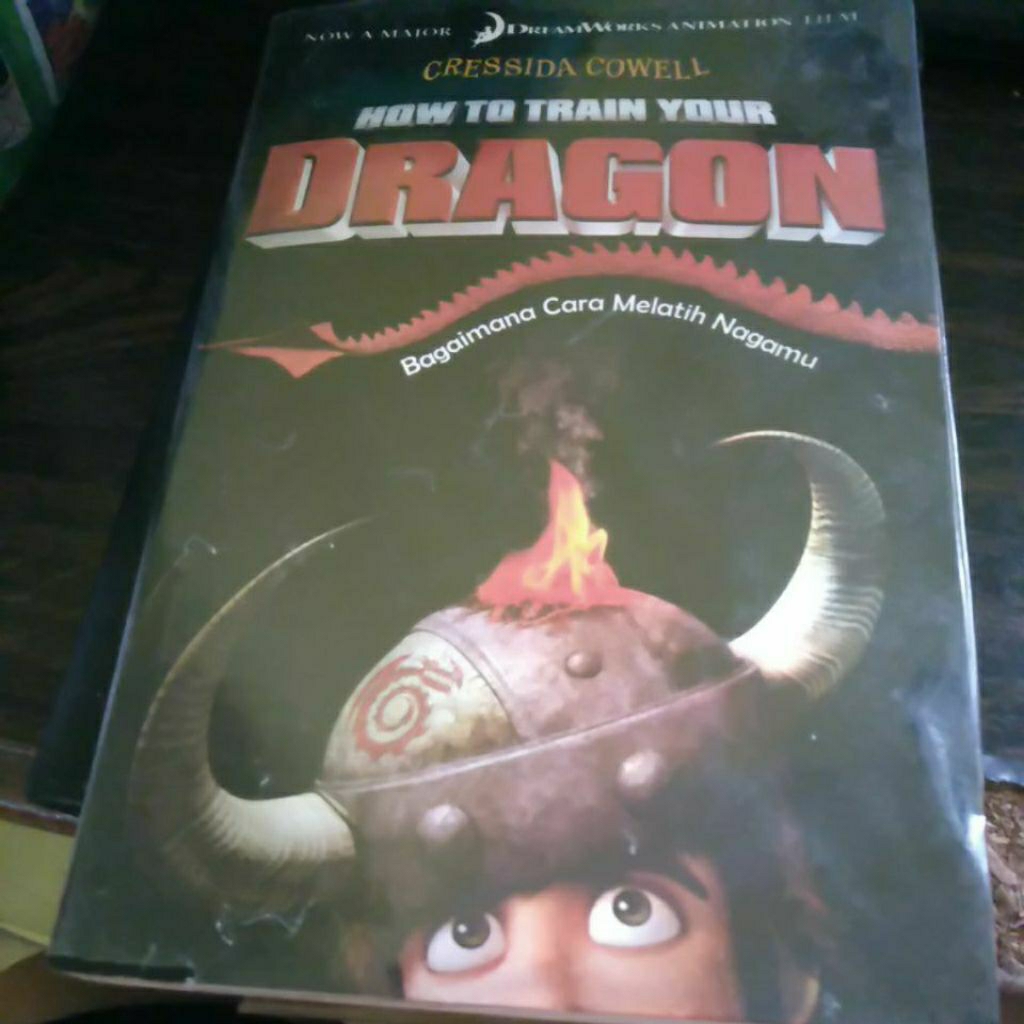 novel how to train your dragon