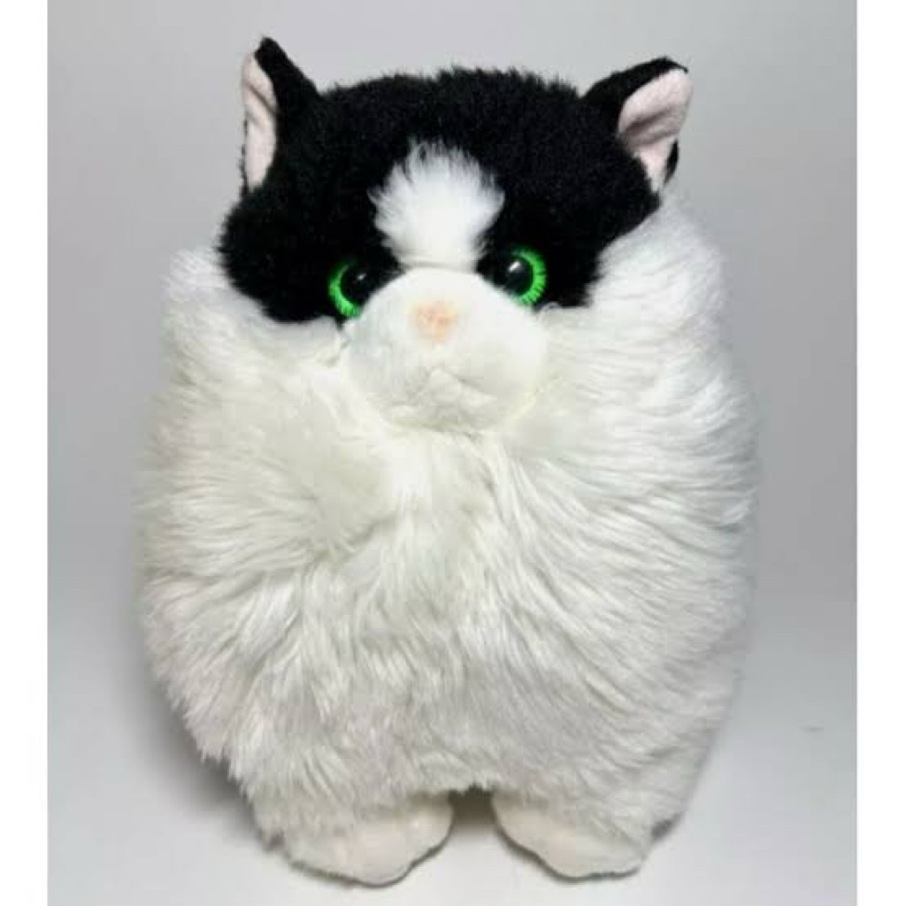 boneka anak kucing munchkin british scottish persia cantik