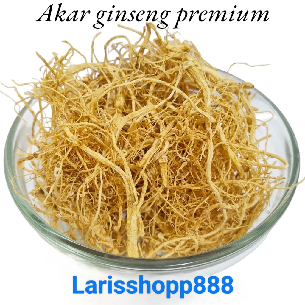 

akar ginseng premium 35 gram / yang Shen Chiu / yio Som Chiu ls