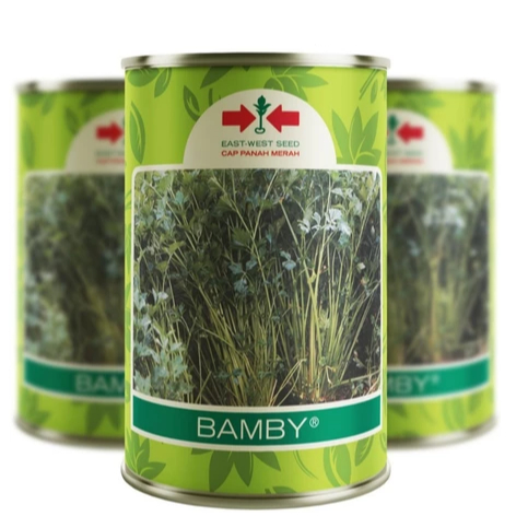 KODE W56Q Benih Seledri AMIGO 50 Gram Cap Panah Merah (READY BAMBY)