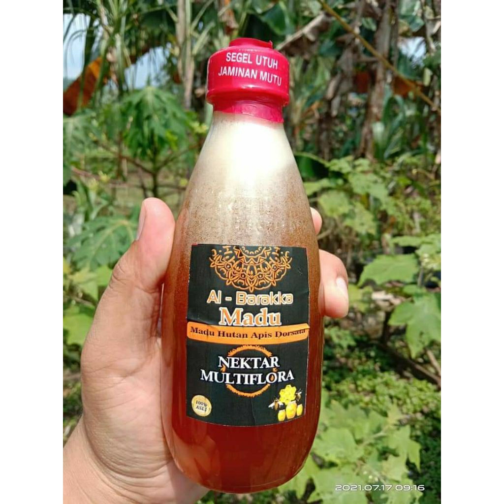 madu hutan liar odeng dorsata