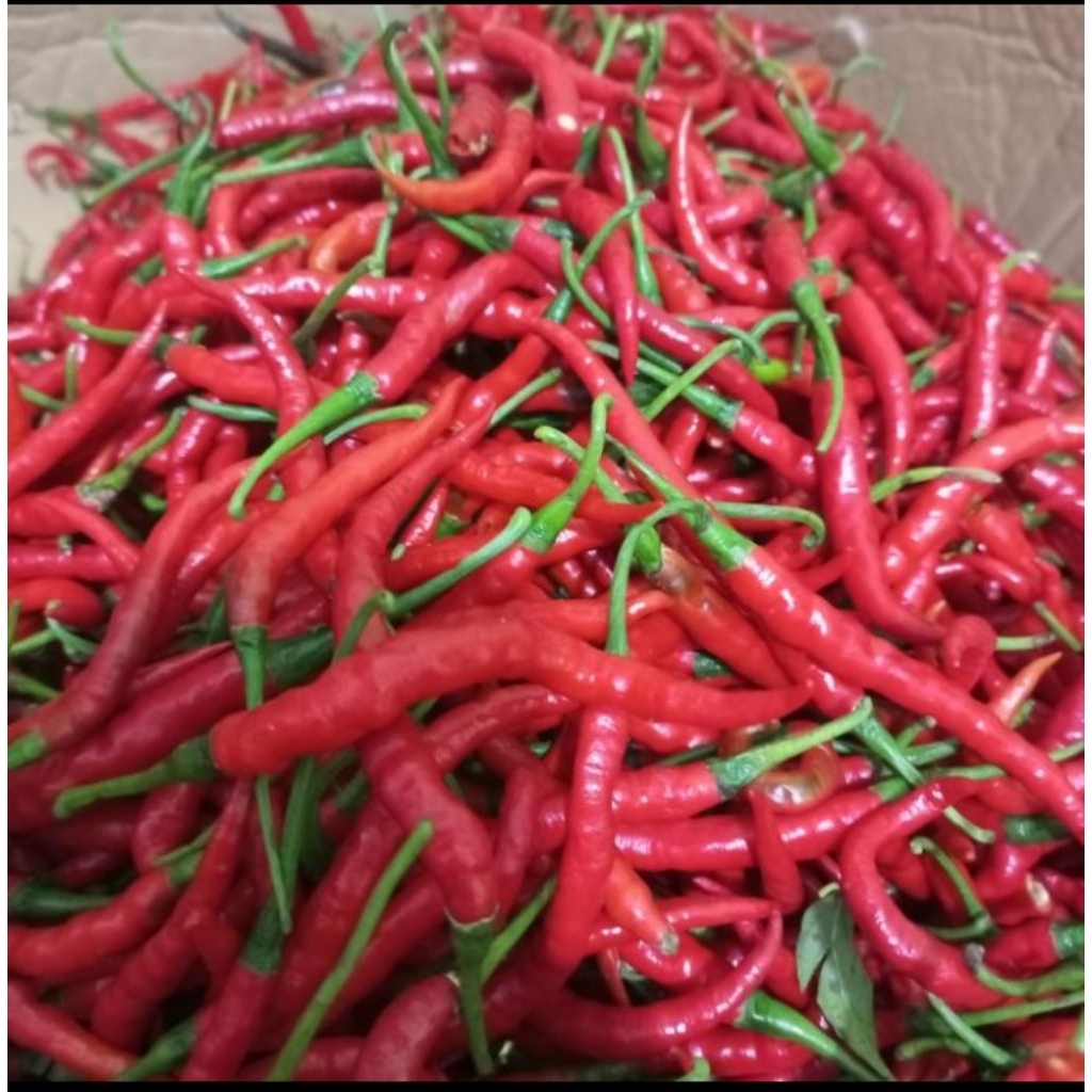 

Cabe Merah Keriting Fresh 500gr
