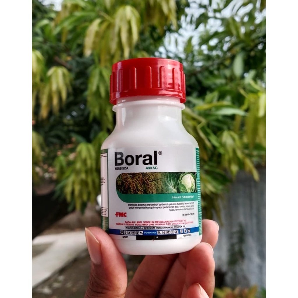 Boral 480 SC