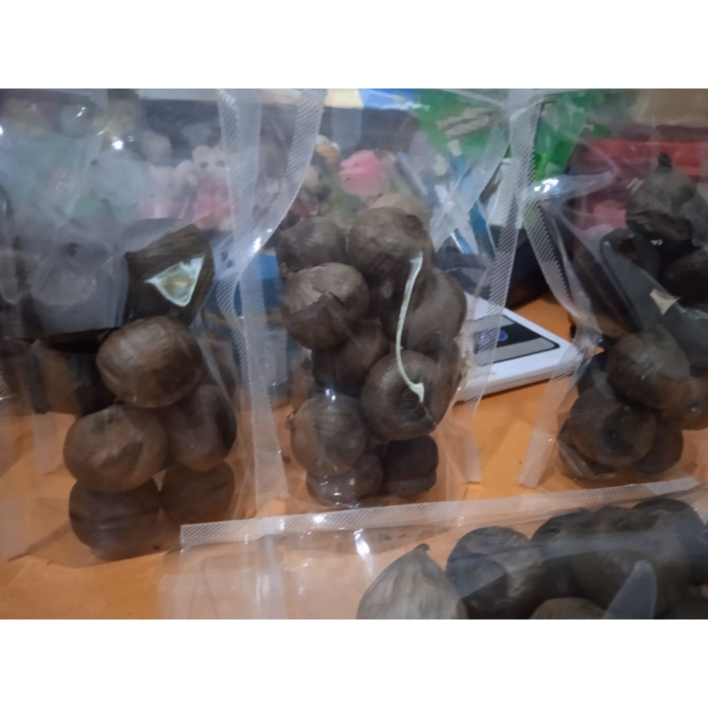 

bawang hitam tunggal super jumbo