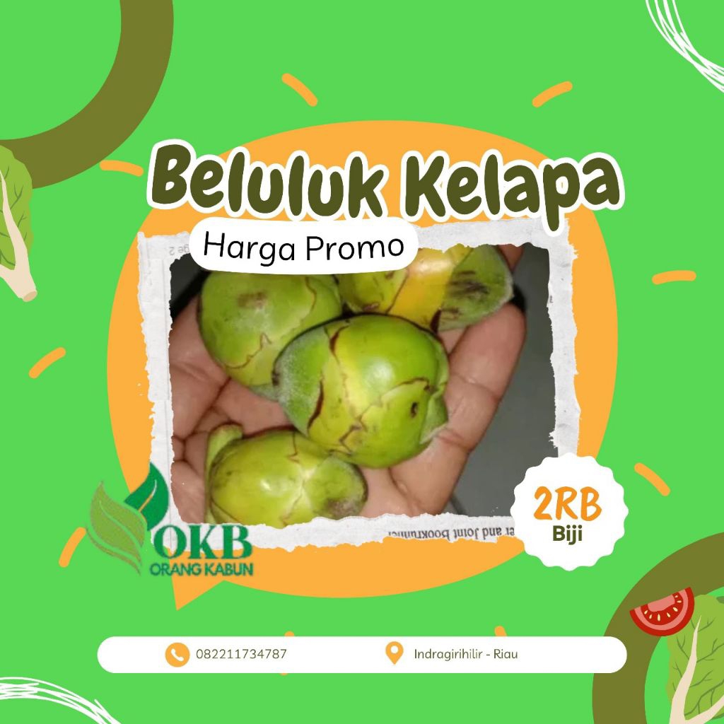 

Bulubuk Kelapa, Telambung Kelapa