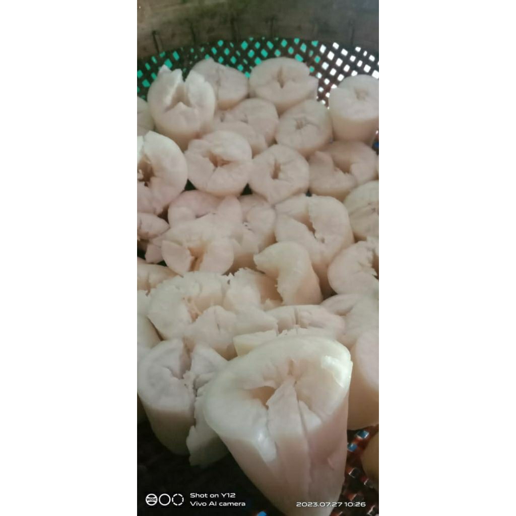 

singkong keju crispy merekah - frozzen - enak dan gurih siap goreng 700 gram