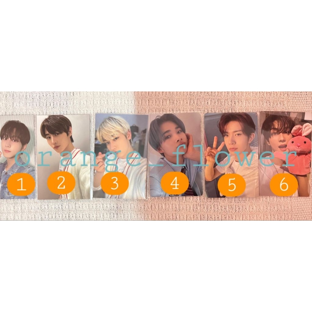 sunghoon border carnival bc uniform sunoo ni-ki riki hakanai solo jacket soljack heeseung jungwon we