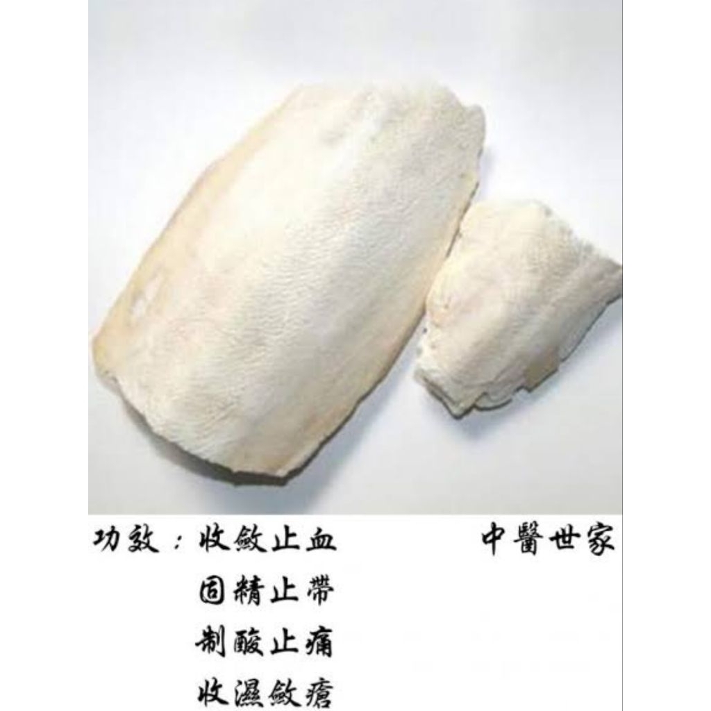 

100gr Hai Piao Shao 海螵蛸 Wu Zei Gu 乌贼骨 Cuttlebone Sepium / Cuttlefish Bone